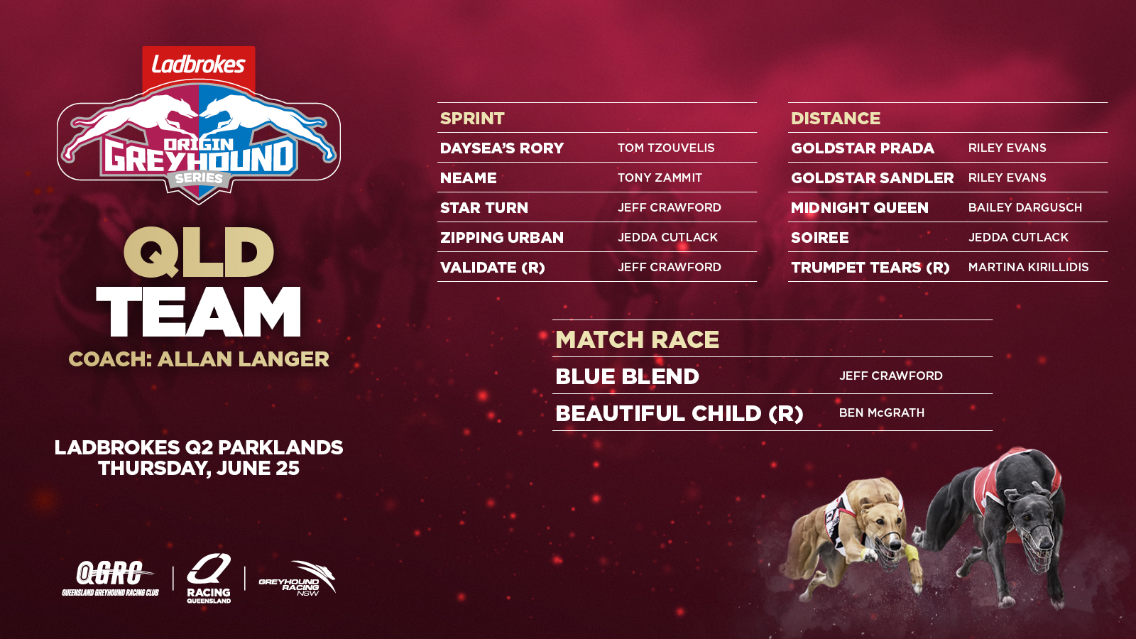 2026 Origin Team Greyhounds QLD 2026 Origin Team Greyhounds QLD