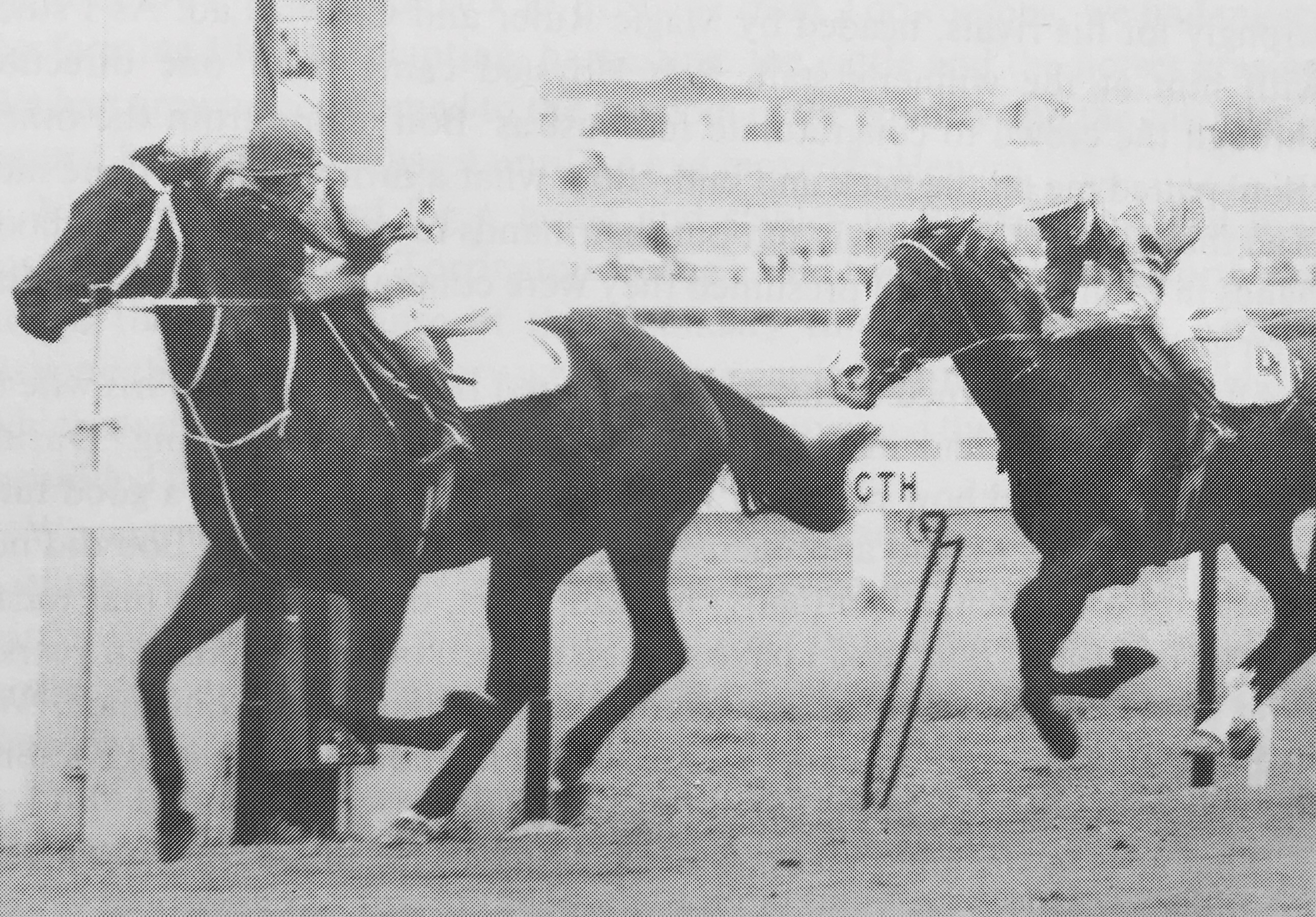 Brodie Moffat Racing Queensland