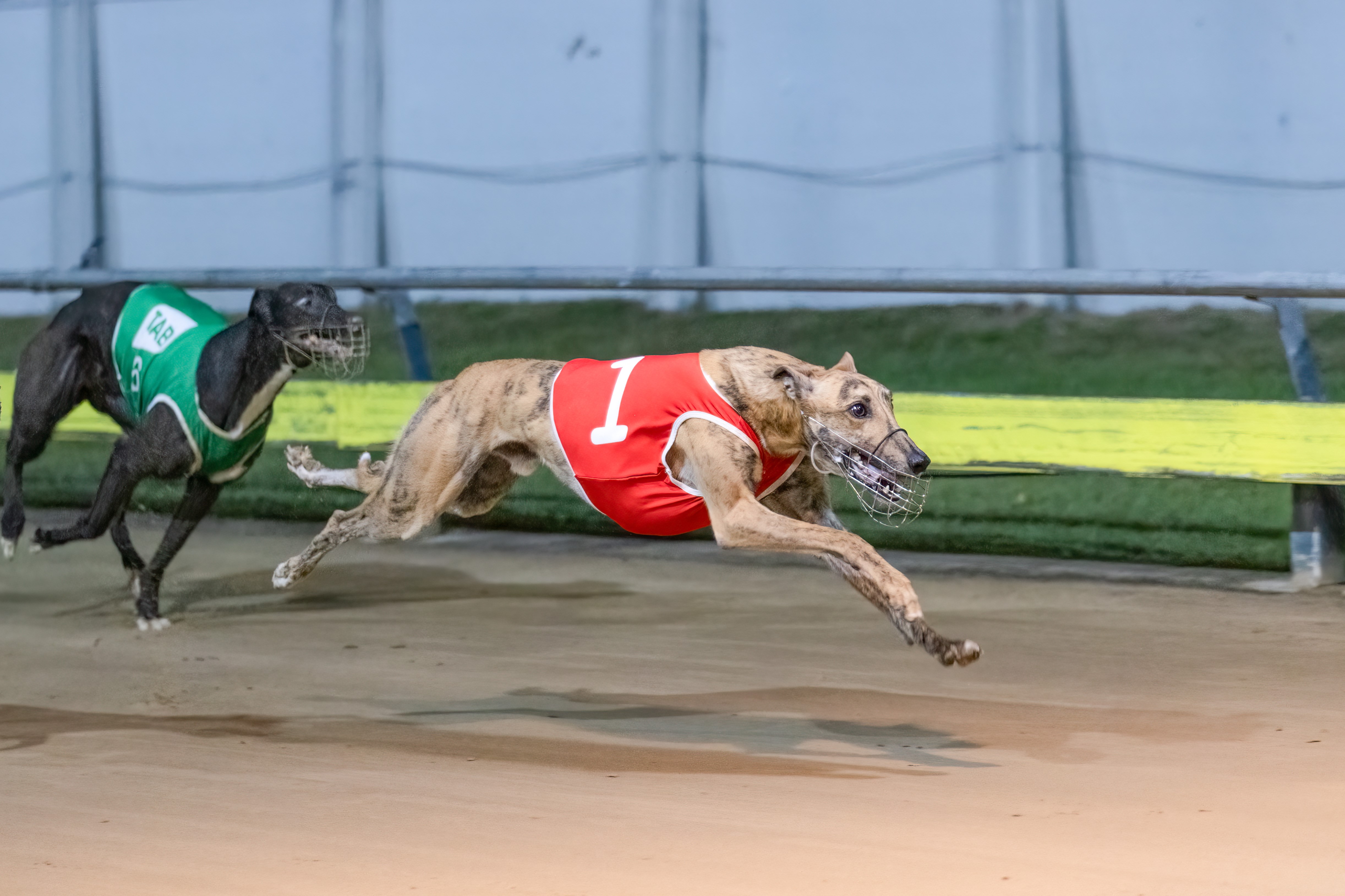 Form Analysis: Redcliffe 22 May 2019 :: Racing Queensland