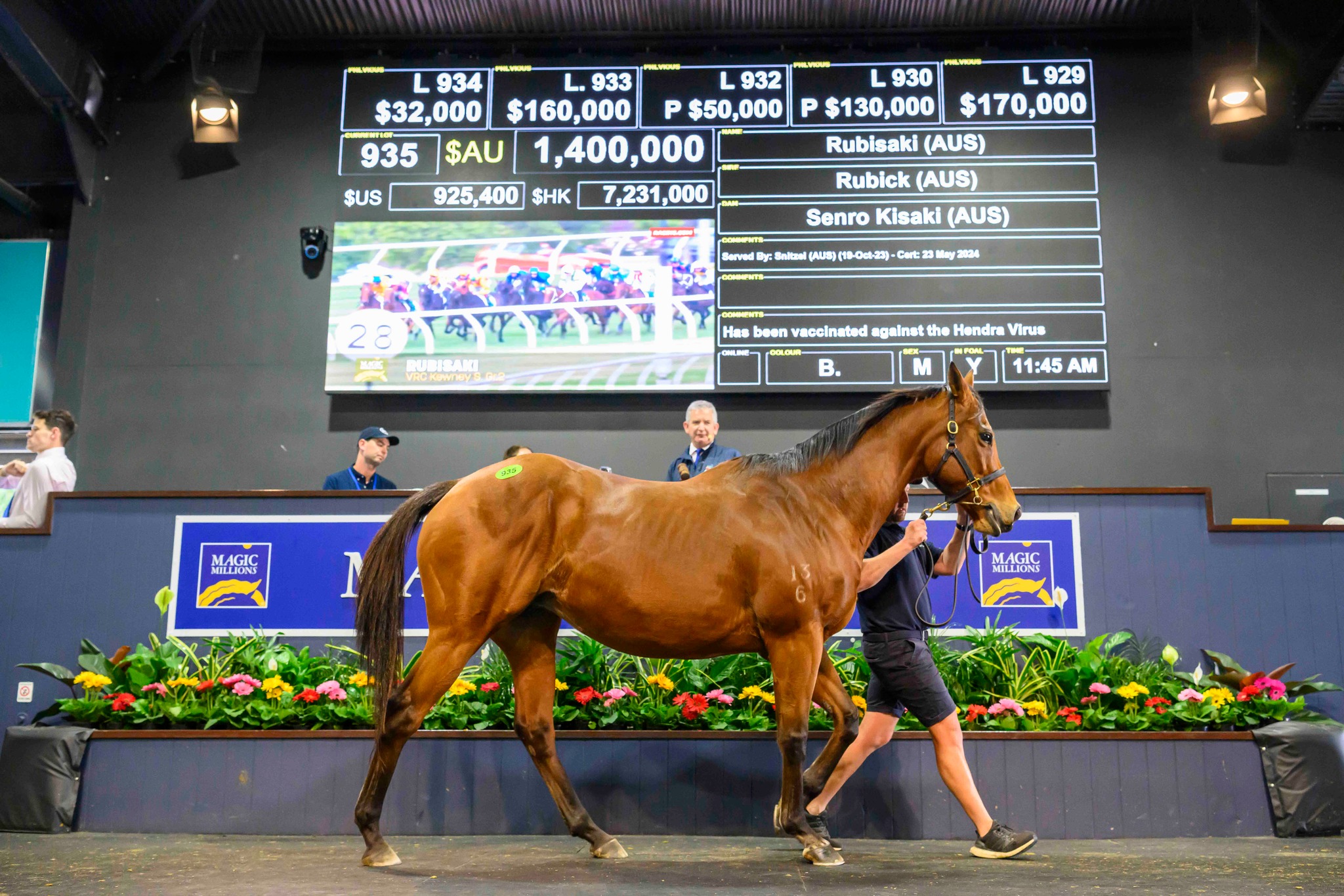 Rubisaki Stars As Successful National Broodmare Sale Ends :: Racing 