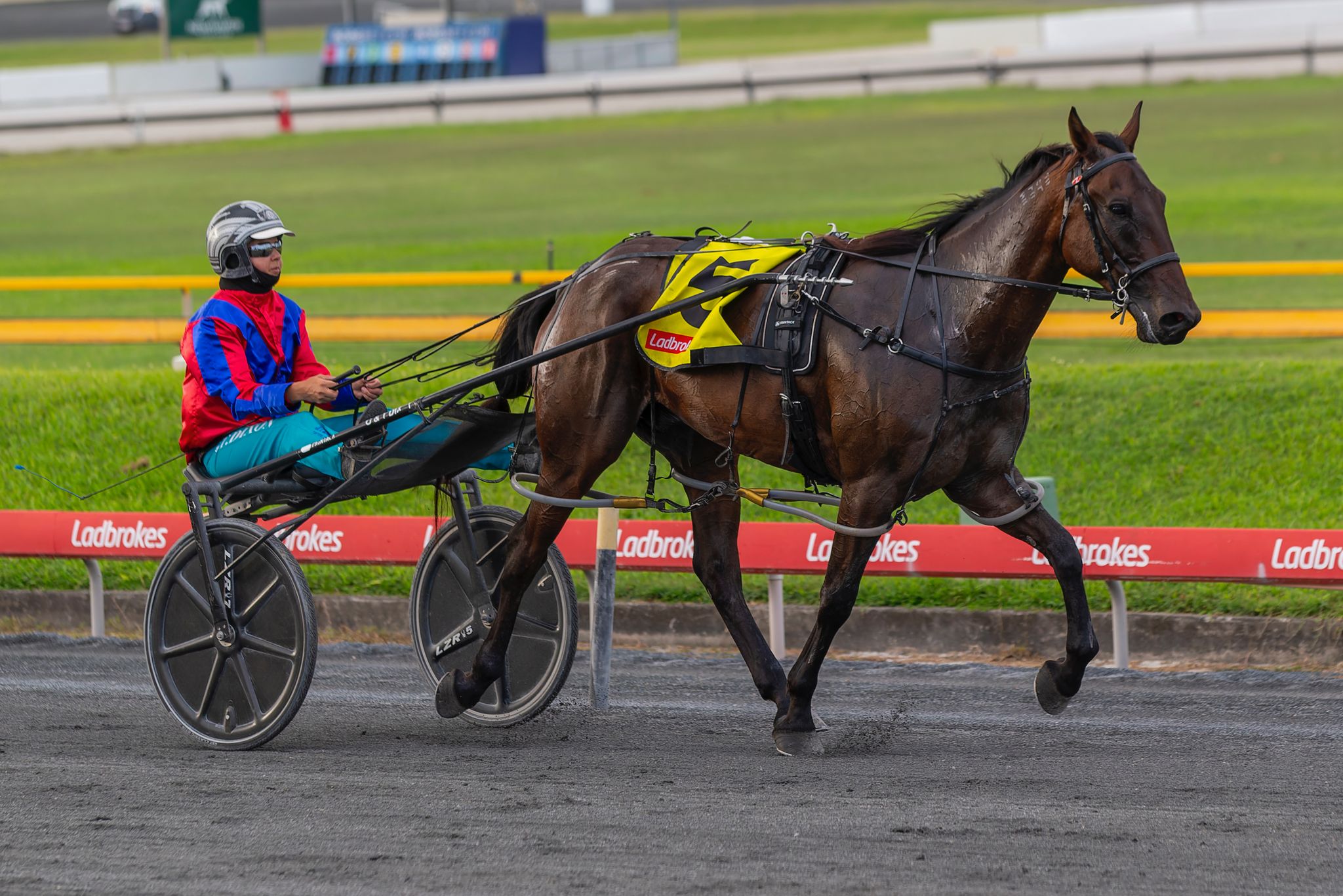 Brodie Moffat Racing Queensland