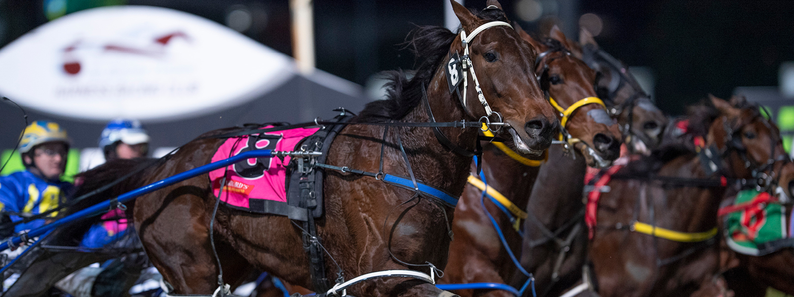 Sectional Stars And Blackbookers - October 22 :: Racing Queensland