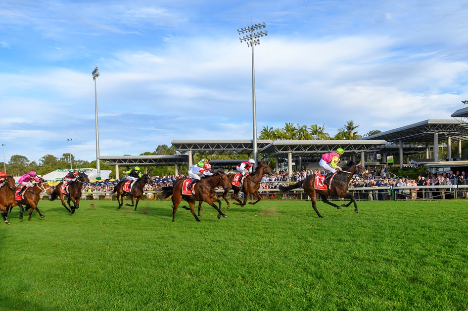 No wet track fears for Know Thyself in Winx Guineas :: Racing Queensland