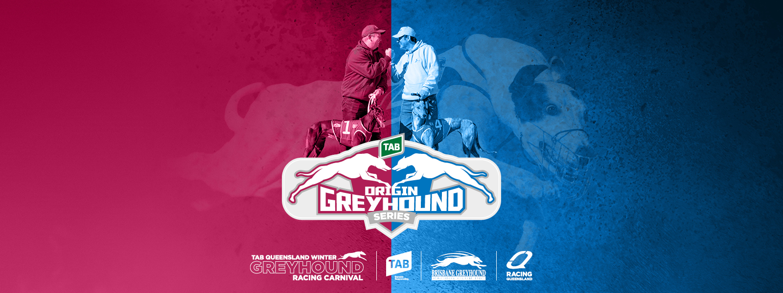 Tab greyhounds sale