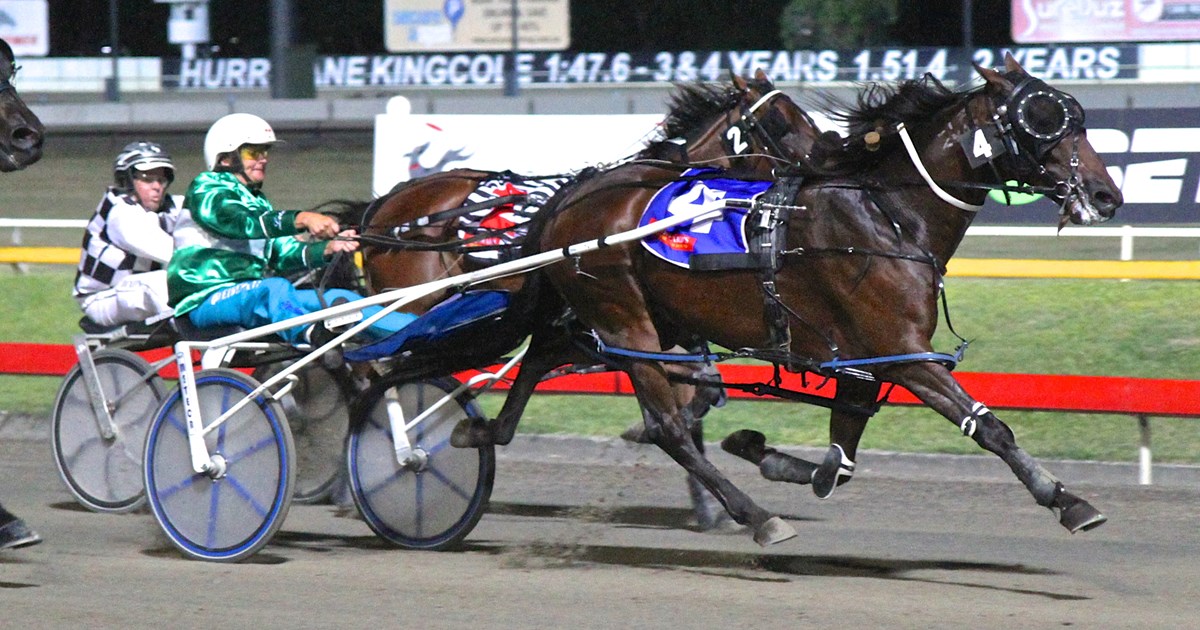 Queensland harness gets behind Team Teal :: Racing Queensland