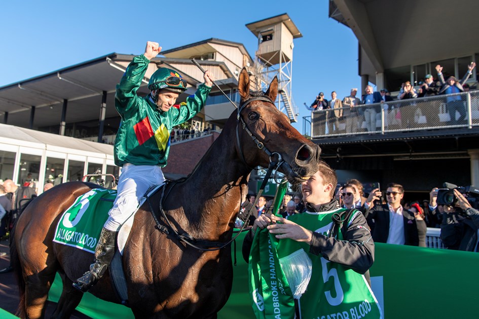 TAB Queensland Racing Carnival a resounding success Racing Queensland