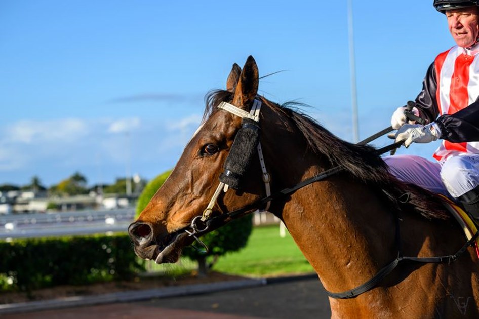 Listed winner heads to Gatton :: Racing Queensland