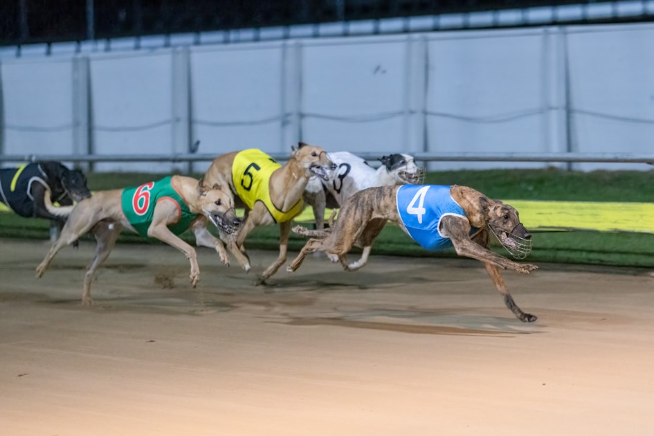 Wendy’s warm-up a heart-in-the-mouth moment for Danny :: Racing Queensland