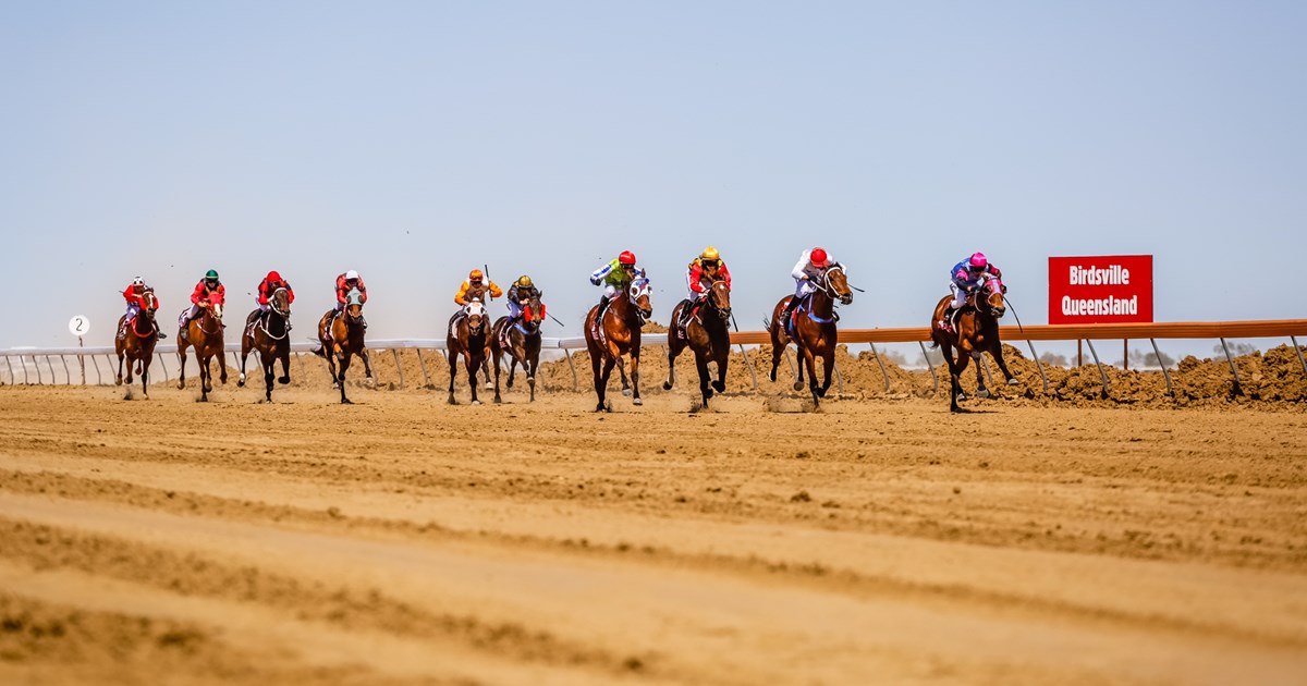 a-guide-to-country-racing-racing-queensland