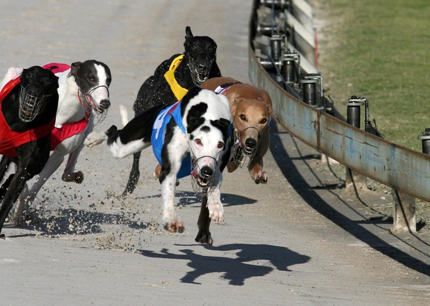 Ekka Public Holiday Grading Schedule :: Racing Queensland