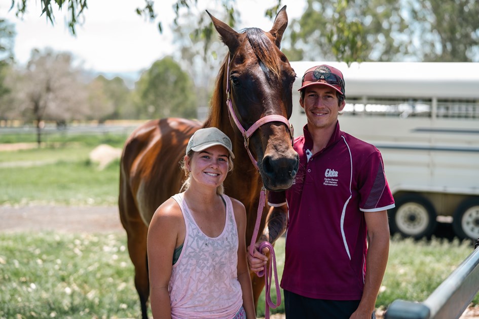 Barnes hopes to send Gee Up Neddy out on top :: Racing Queensland