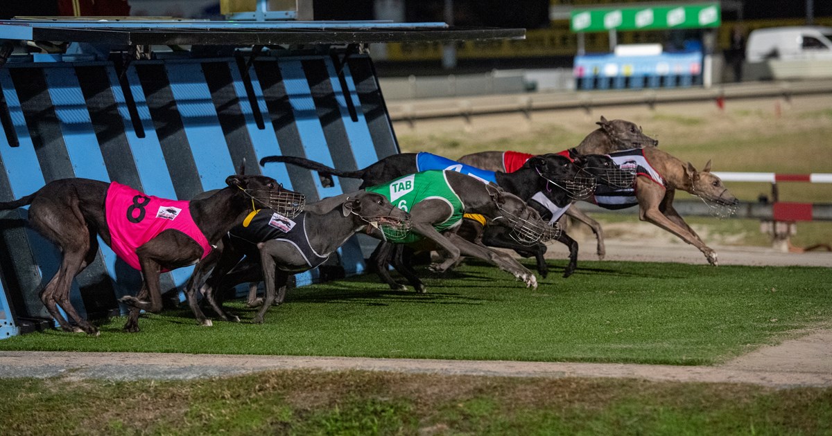 Mate against mate and a score to settle in Queensland State ...