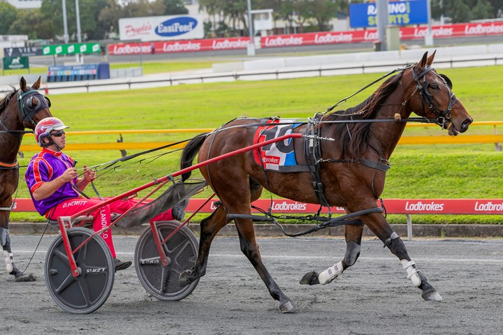 First runners confirmed for The Hayden :: Racing Queensland