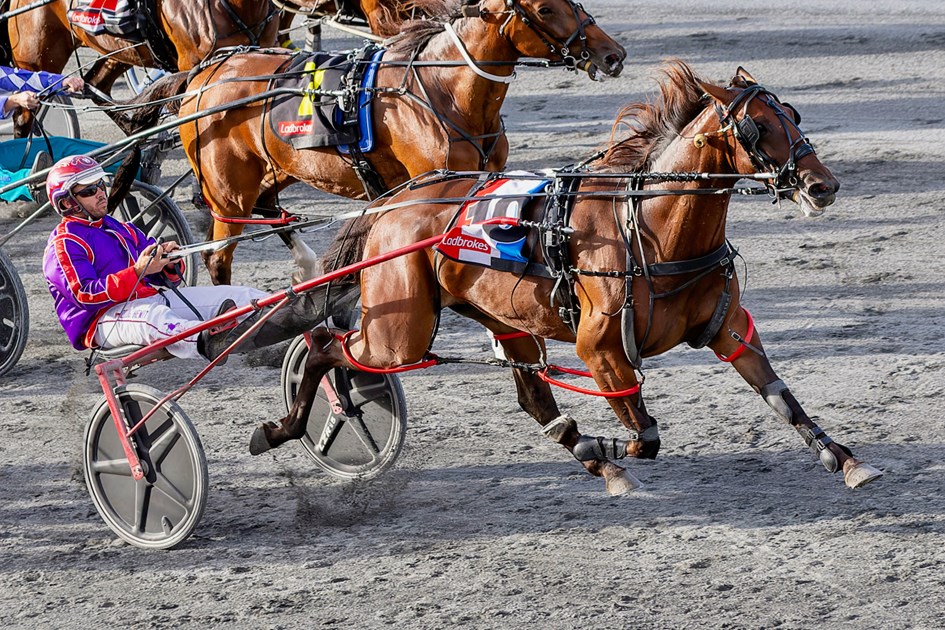 Doug Hewitt set to make his mark in Queensland :: Racing Queensland