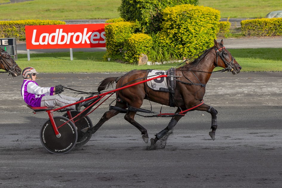 Queensland Harness Racing Wrap - April 8 :: Racing Queensland