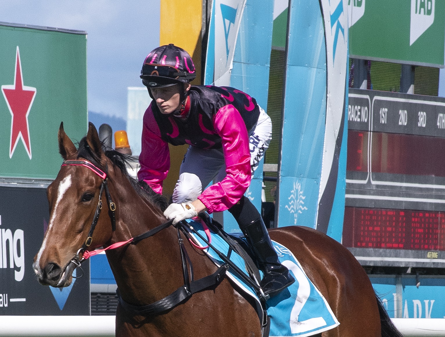 Wilson Taylor set for another bumper day at Dalby Racing Queensland