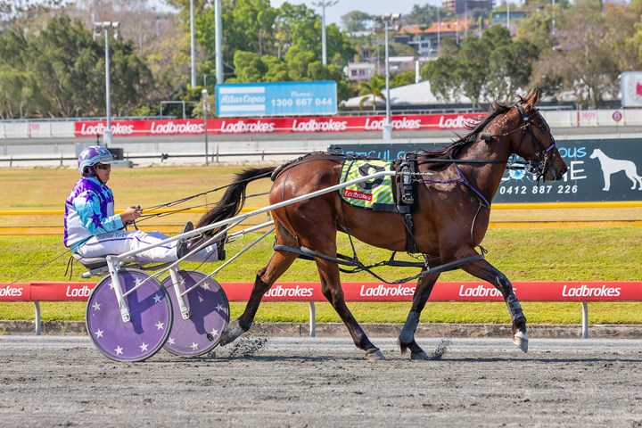 Queensland Harness Racing Wrap - February 26 :: Racing Queensland