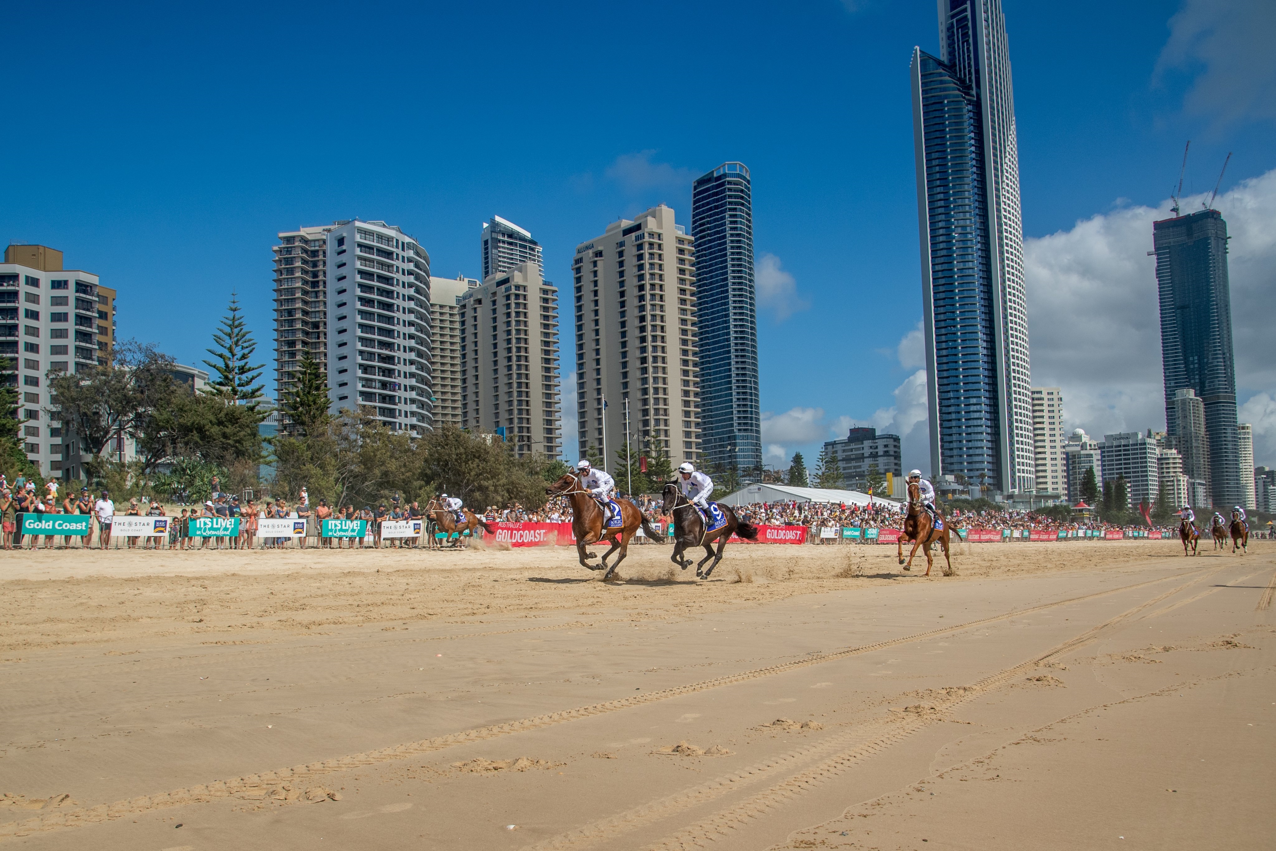 The Star Gold Coast Magic Millions Lock In The Brightest Future ...