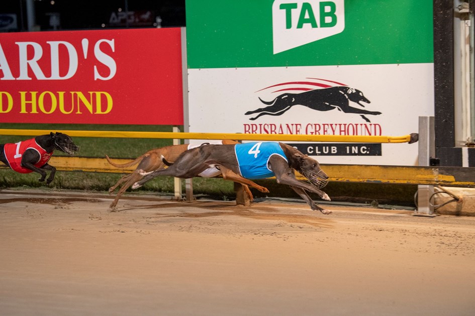 Casino Greyhound Racing Club