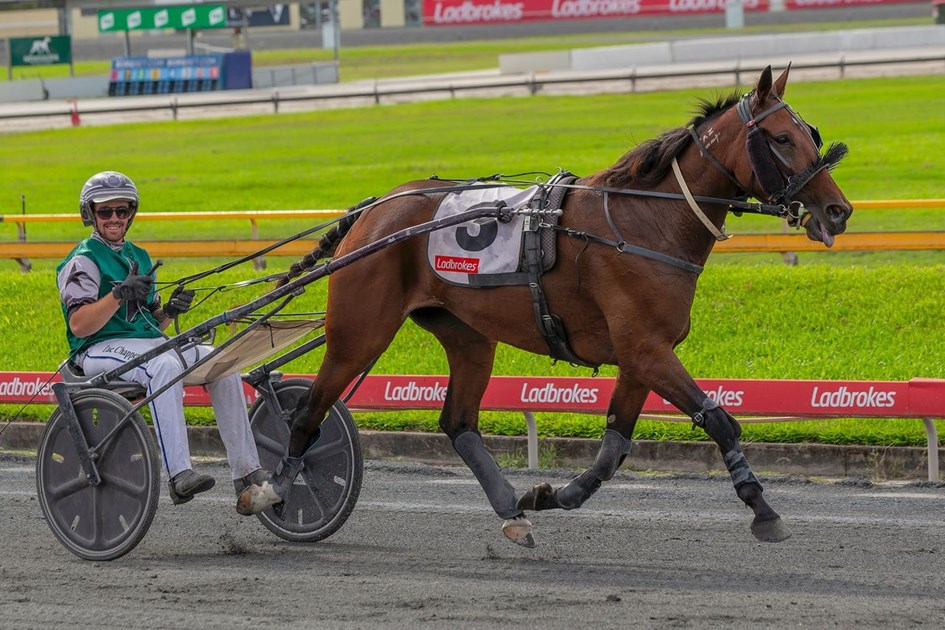 Dashman's Dashboard - April 27 @ Albion Park :: Racing Queensland