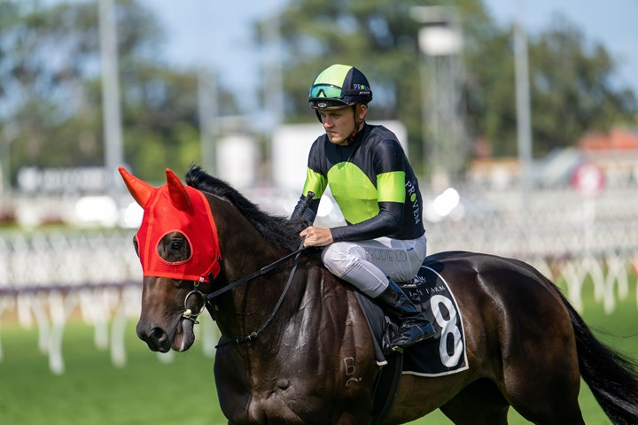 Business as usual for Neasham at Doomben Racing Queensland