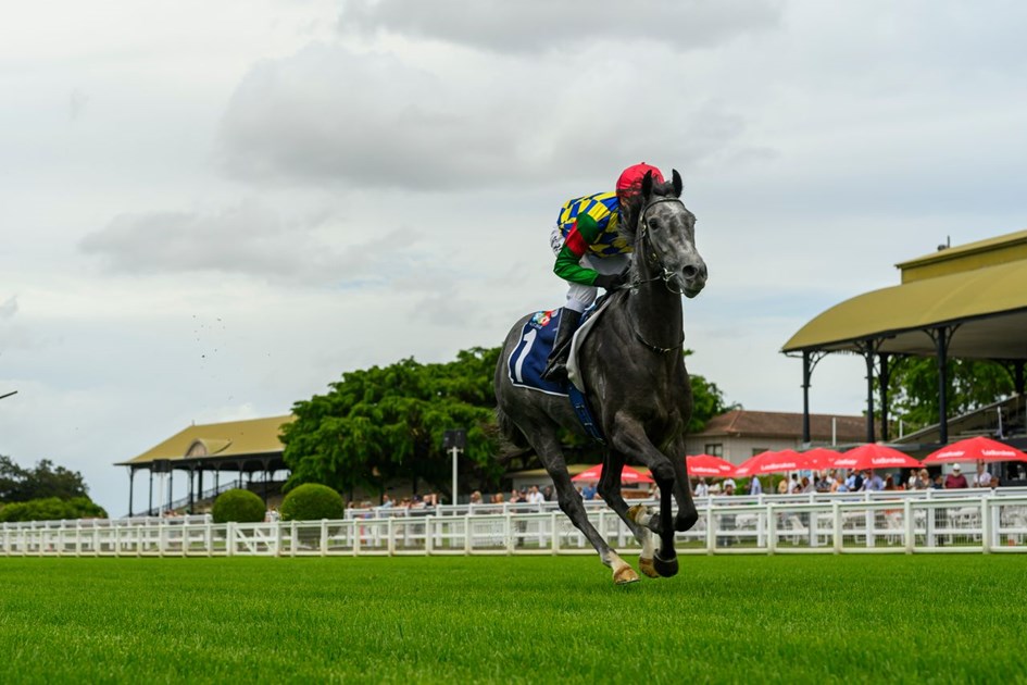 Kendrick Overdue For A Group Win :: Racing Queensland