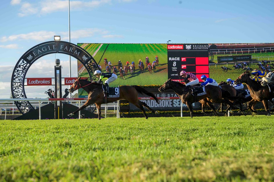 2024 Queensland Racing Carnival Program Racing Queensland