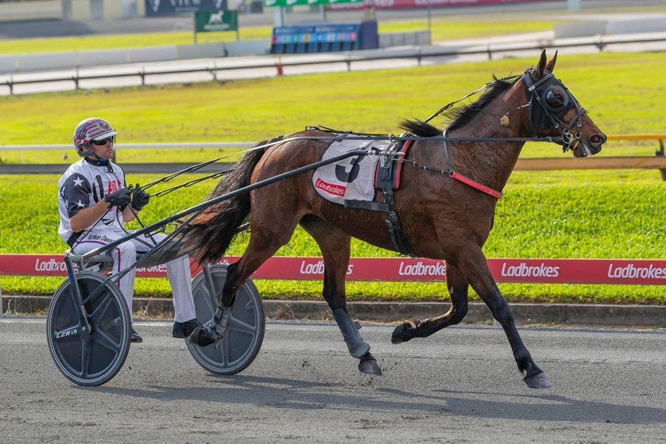 Dashman's Dashboard - June 15 @ Albion Park :: Racing Queensland