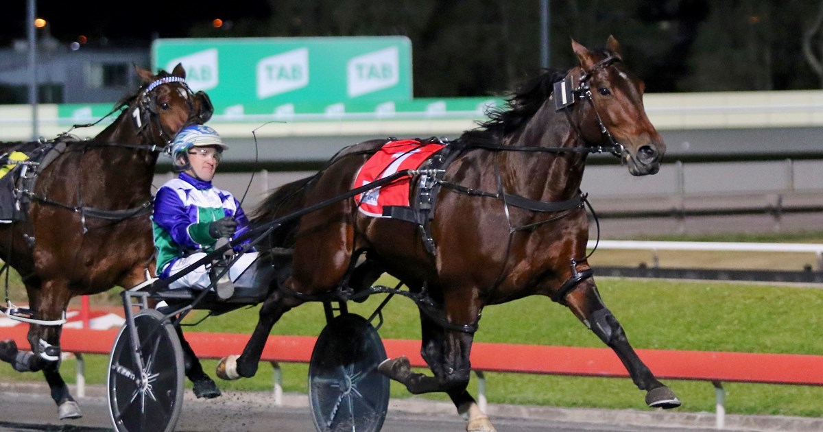 queensland-harness-racing-wrap-june-21-racing-queensland