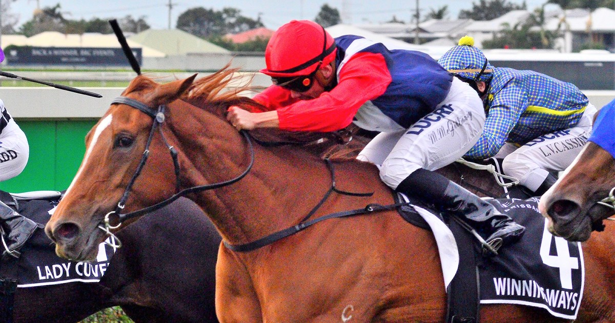 Winning Ways named QLD Horse of the Year Racing Queensland