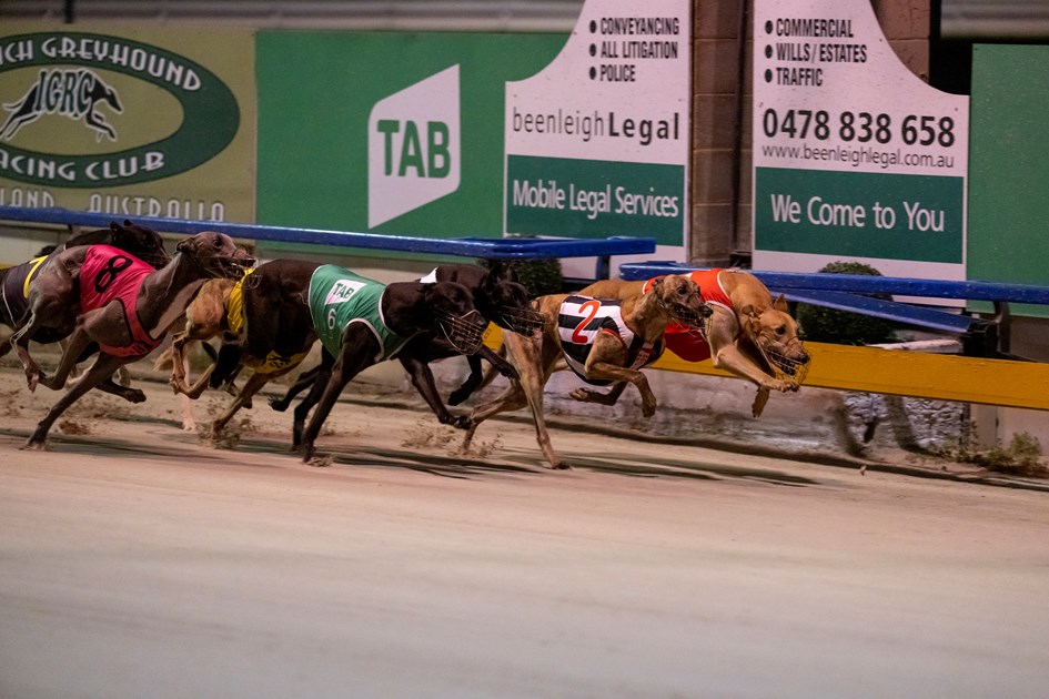 RQ statement on Ipswich Greyhound Racing Club :: Racing Queensland