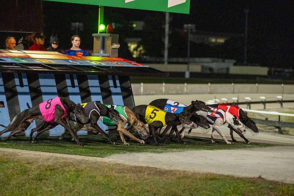 Maurice Minor sires first winner at Ipswich :: Racing Queensland