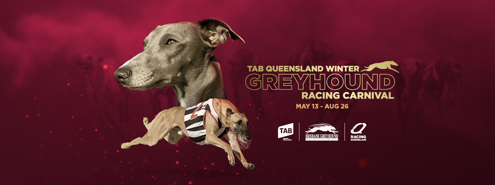 Tab greyhounds hot sale