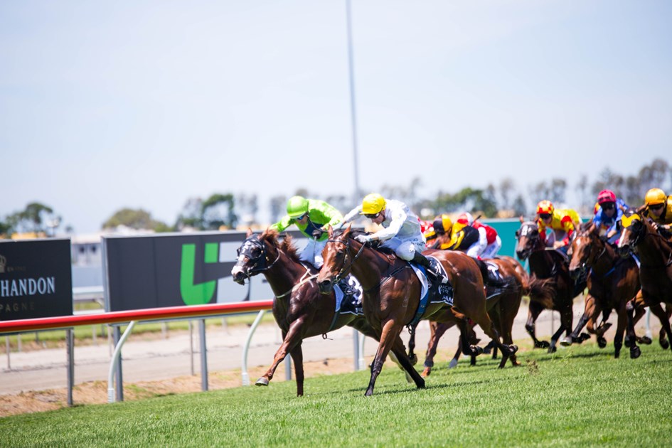 Gold Coast Races Racing Queensland