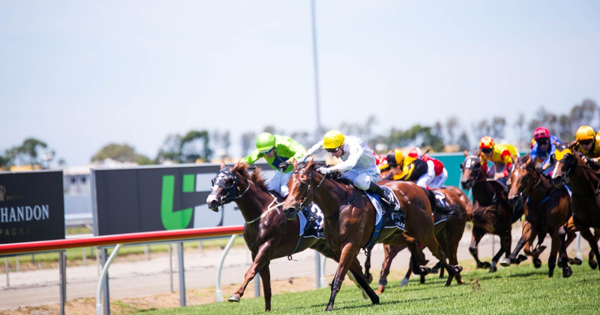 Gold Coast Races Racing Queensland