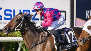 Kemp keeping the faith in Pink Vixen