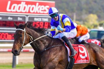 Townsville Cup