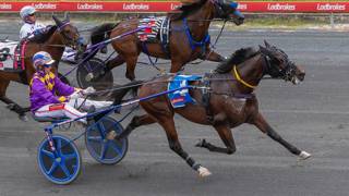Dashman's Dashboard - March 14 @ Albion Park