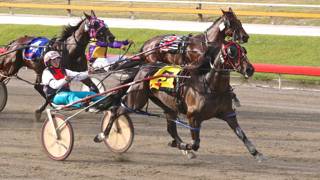 Dashman's Dashboard - April 25 @ Albion Park