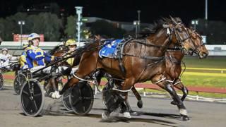 The Dashboard - July 11 @ Albion Park