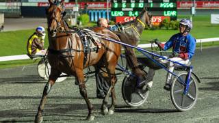 The Dashboard - August 22 @ Albion Park