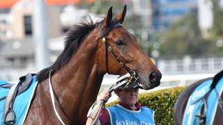 Oaks runner headlines Bruce's carnival assault