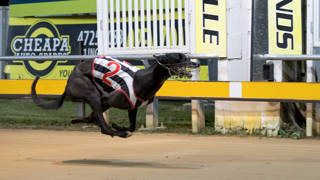 Trip north a winning move for Tipsy Tess