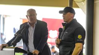 Gollan geared up to break Stradbroke duck with Transatlantic trip