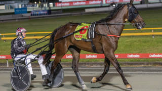 Not As Promised headlines Dwyer’s ID attack