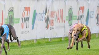 Pop ready to make his mark at Capalaba