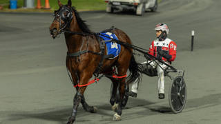 Dashman's harness look ahead - March 6