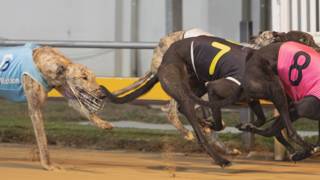 La Rosa adamant Andy can progress in Townsville