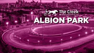 Form Analysis: Albion Park August 8