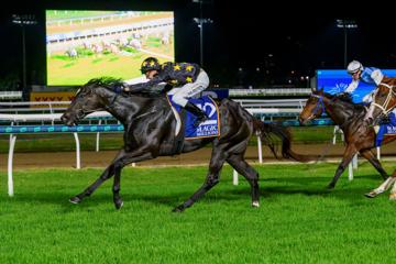 Silks Under The Stars Race Evening